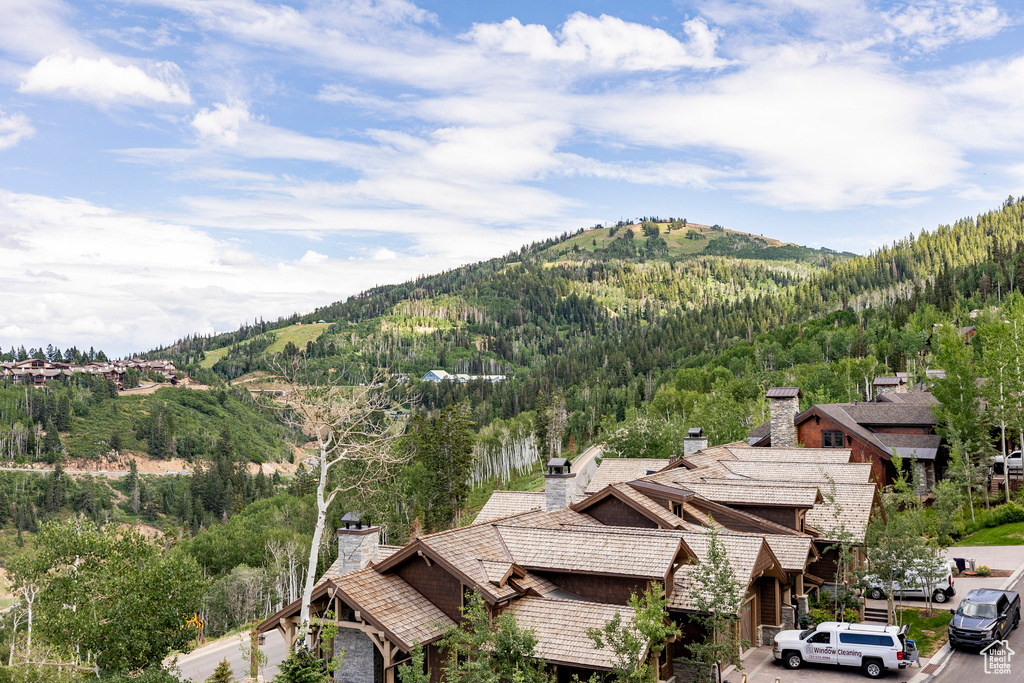 View of mountain background featuring a heavily wooded area