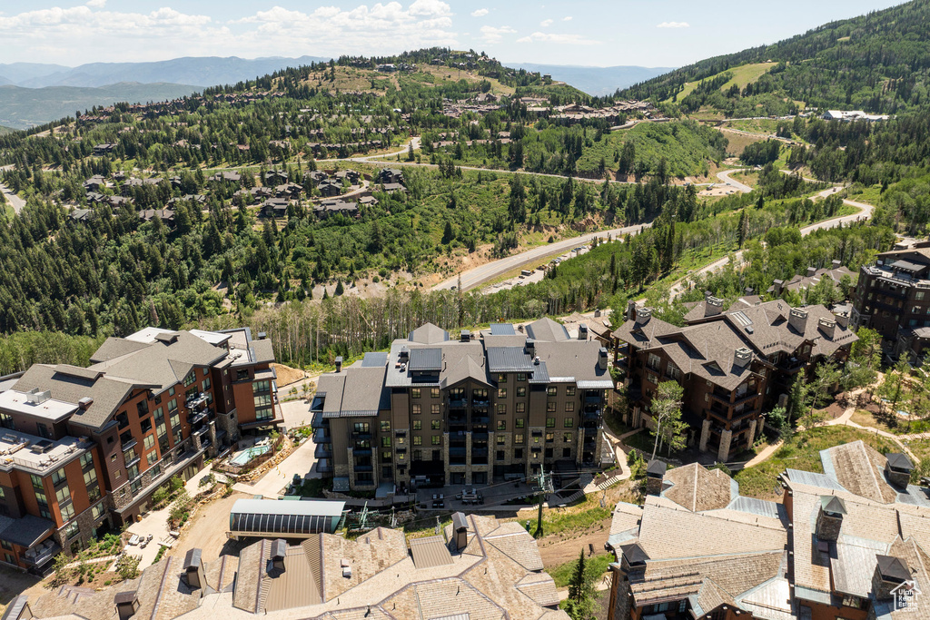 Drone / aerial view of a mountain backdrop and a forest