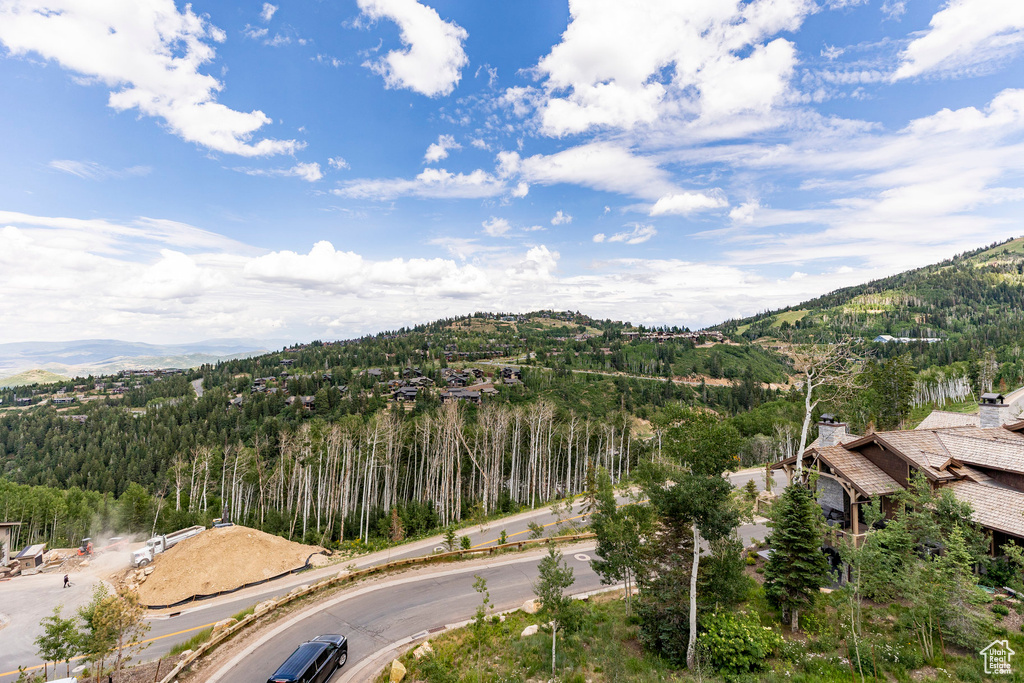 View of mountain backdrop featuring a forest