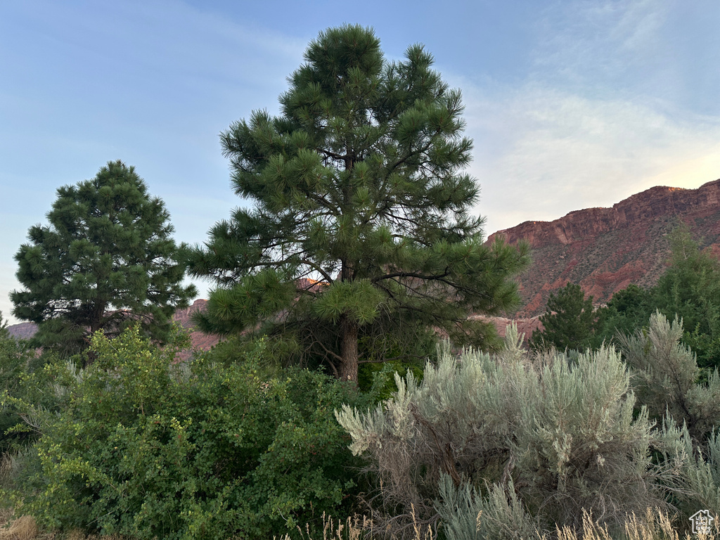 View of mountain background