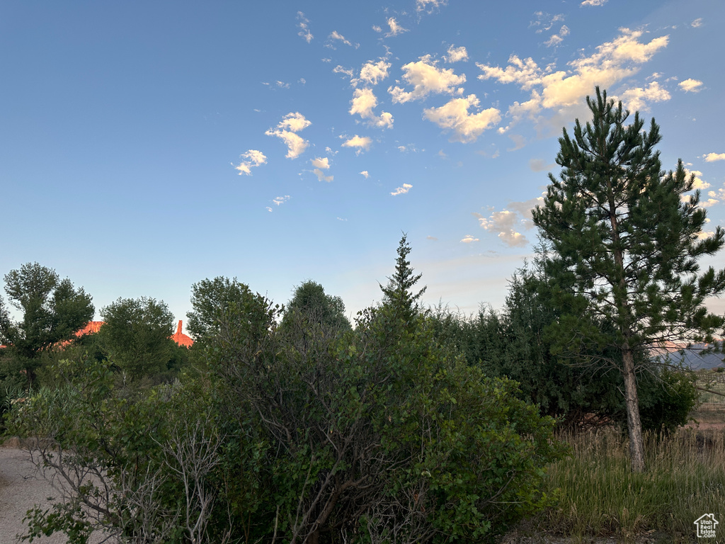 View of nature