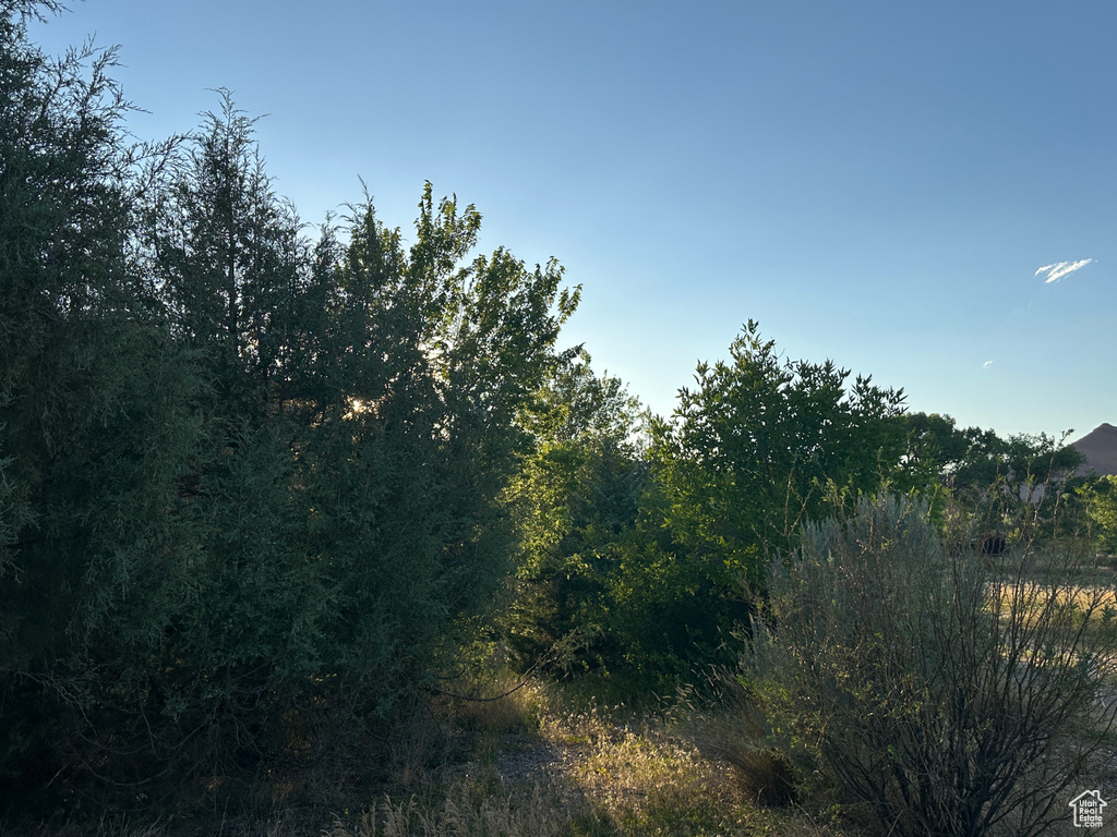 View of undeveloped land