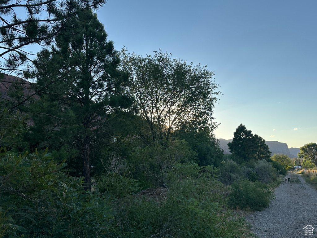 Nature at dusk with a mountain view