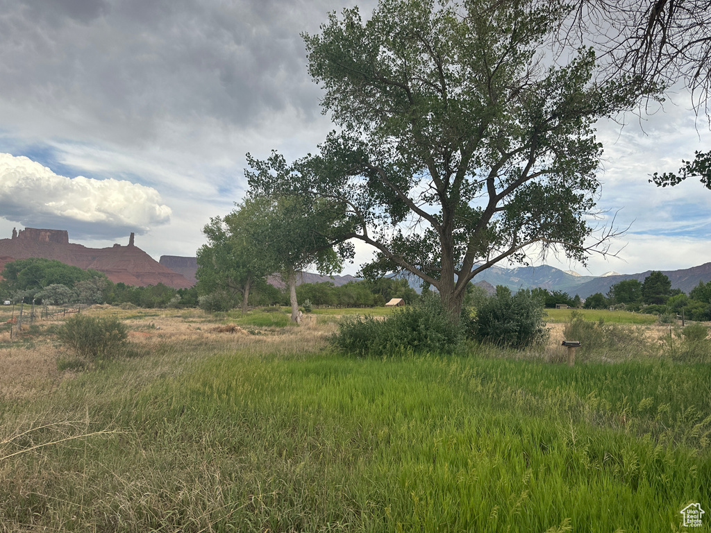 View of yard with a mountain view and a view of rural / pastoral area