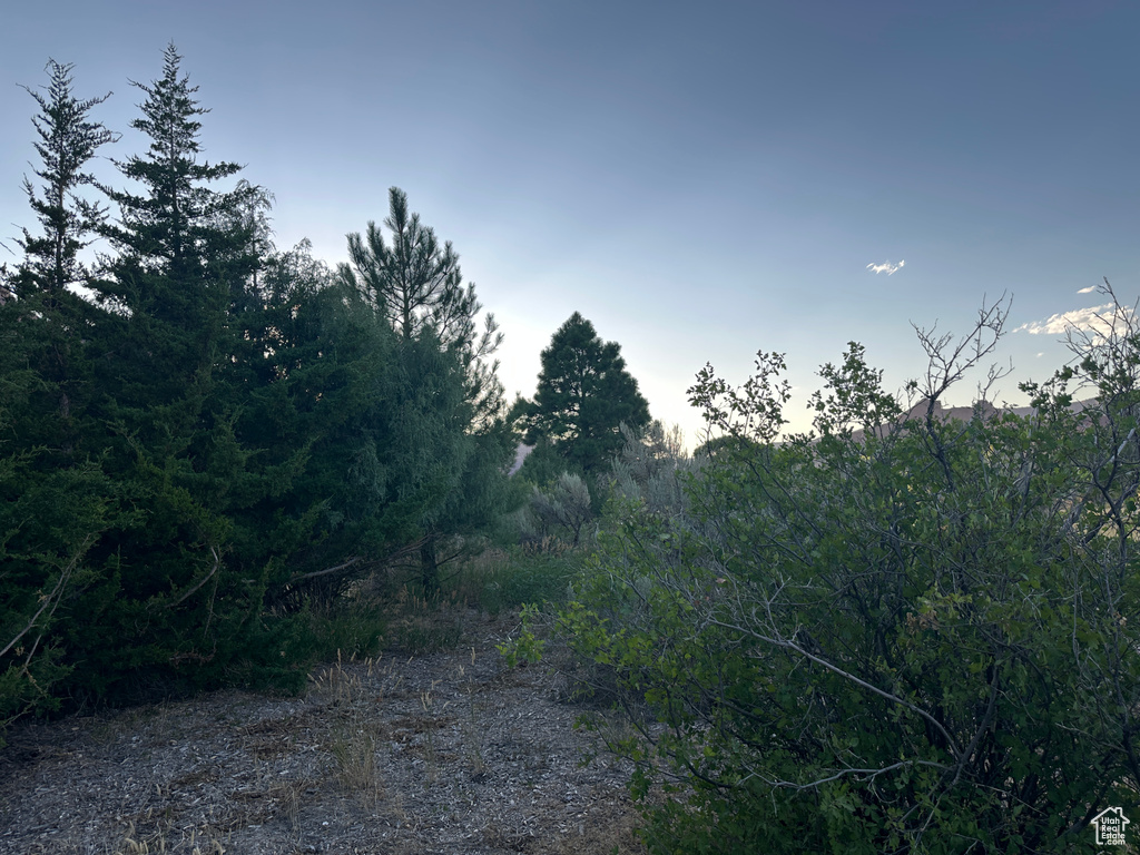 View of undeveloped land