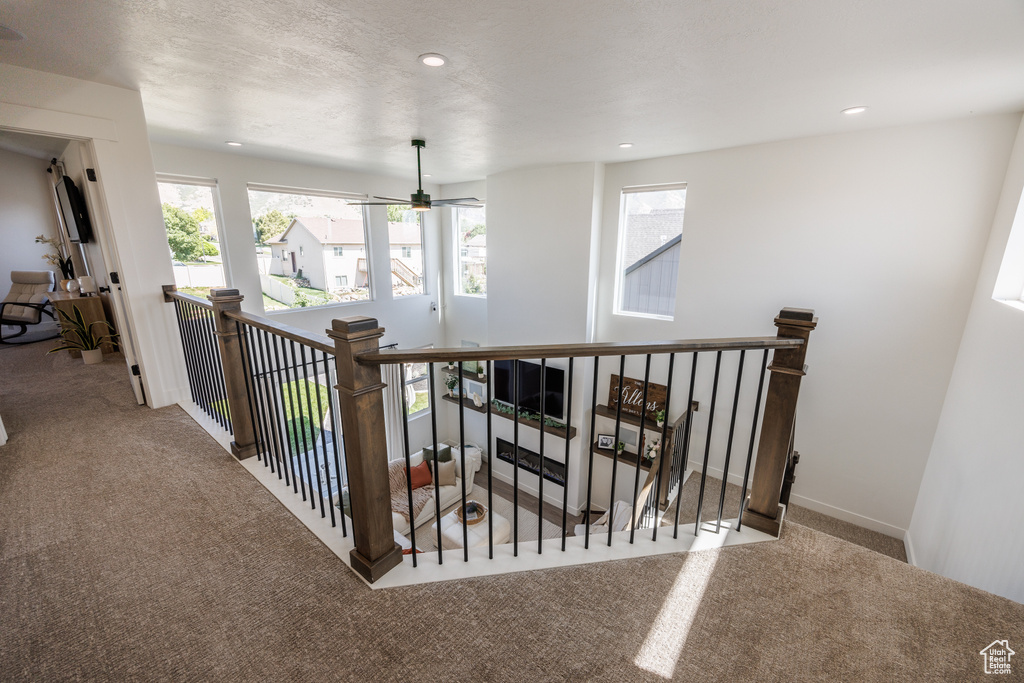 1571 S 1100 W Payson, UT 84651