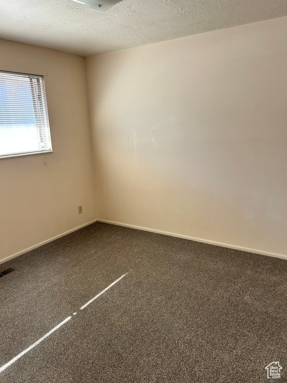 Empty room featuring carpet floors and a textured ceiling