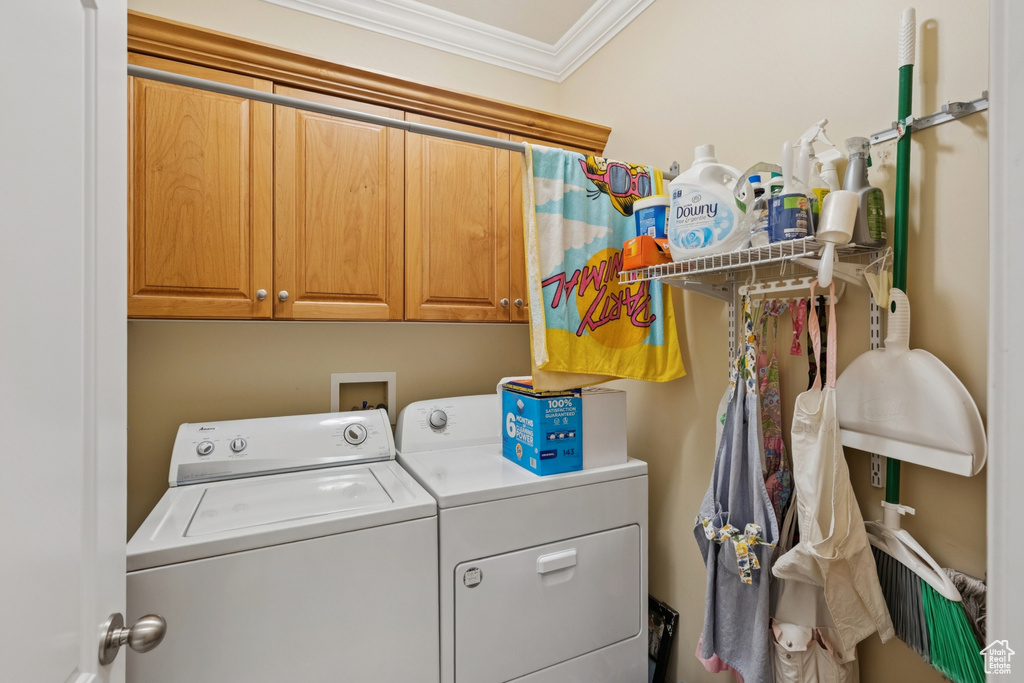 Washroom featuring separate washer and dryer, ornamental molding, and cabinet space