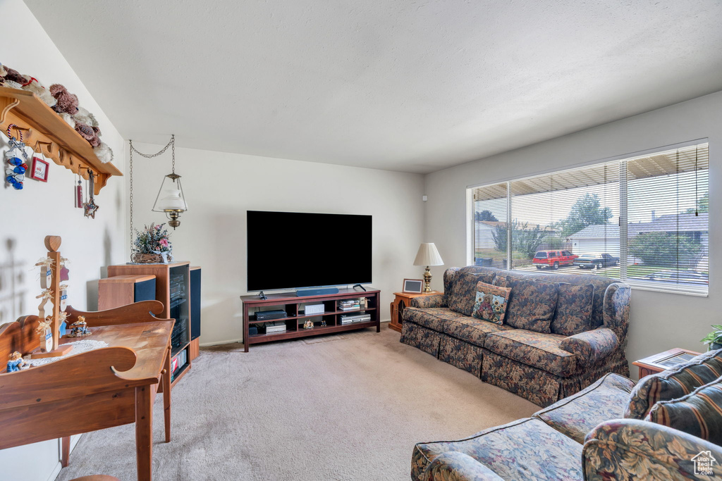 527 S 1000 W Payson, UT 84651