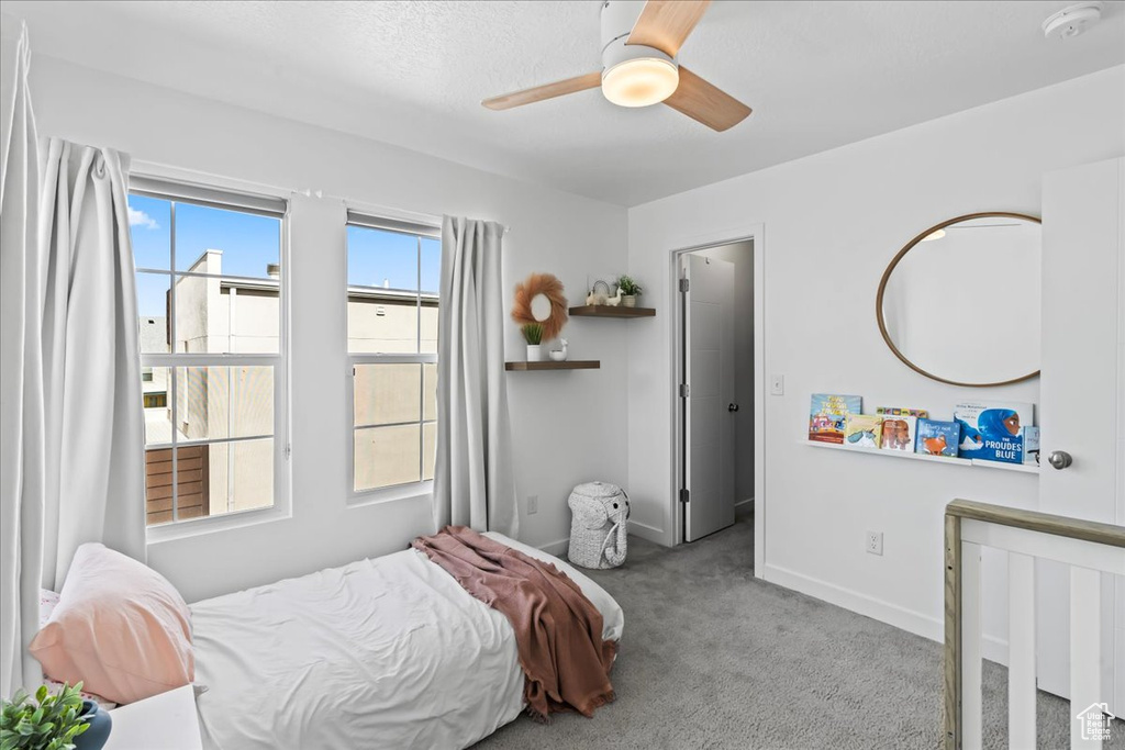 10582 S STURGEON DR South Jordan, UT 84009