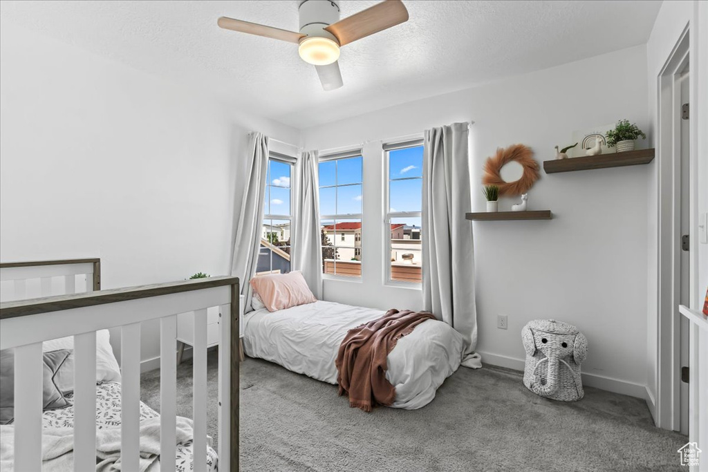 10582 S STURGEON DR South Jordan, UT 84009