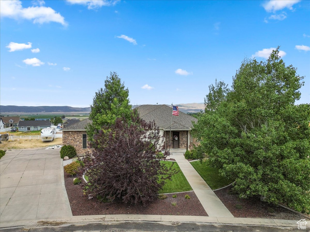 View of property hidden behind natural elements featuring a shingled roof and driveway