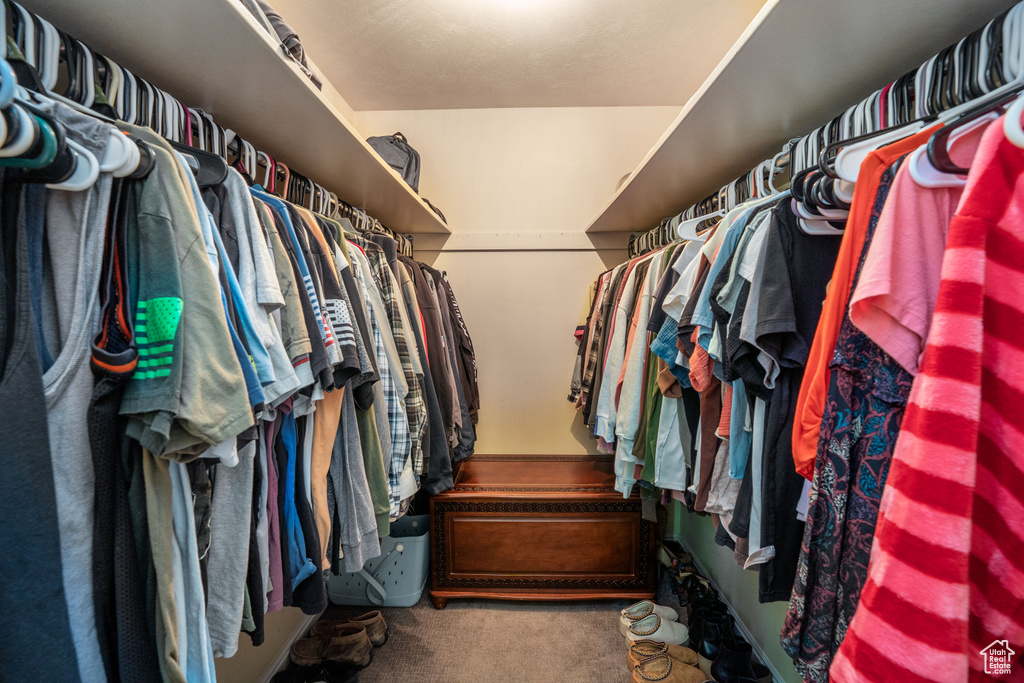 Spacious closet with carpet