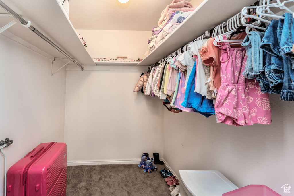 Walk in closet featuring carpet floors