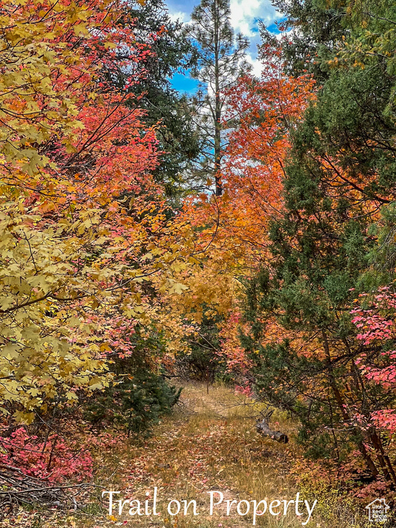 62 N FORK ROAD STEVEN CYN Duck Creek Village, UT 84762