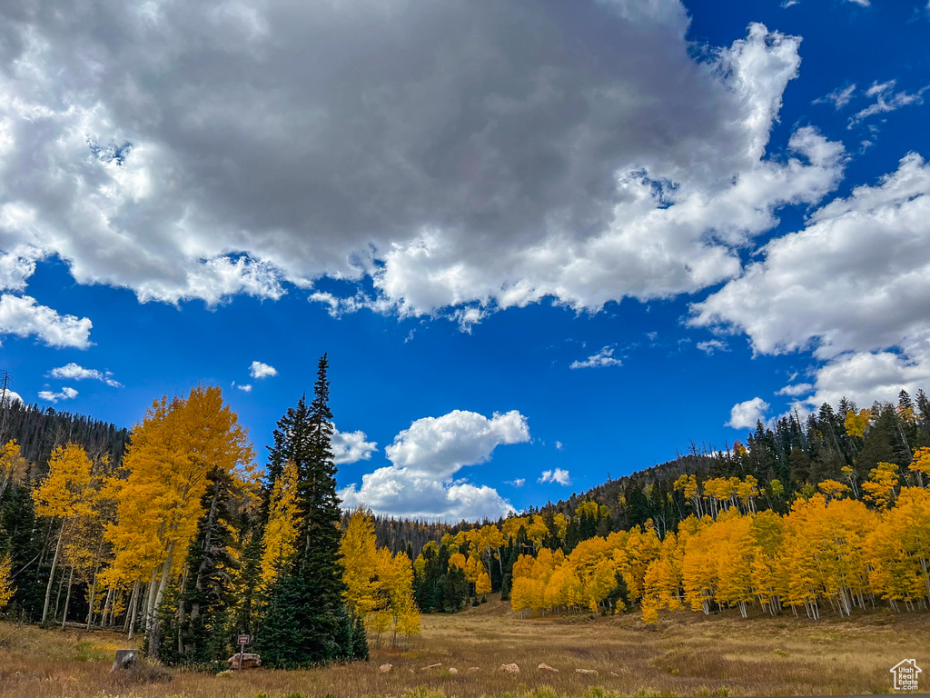 62 N FORK ROAD STEVEN CYN Duck Creek Village, UT 84762