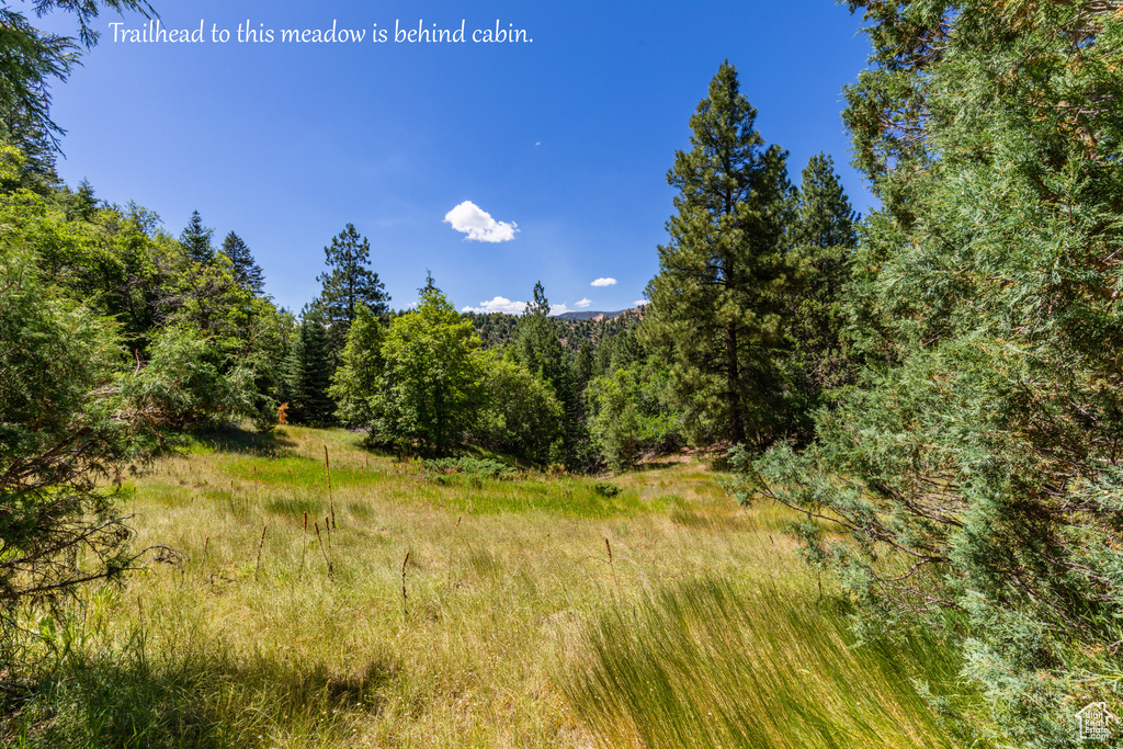 62 N FORK ROAD STEVEN CYN Duck Creek Village, UT 84762