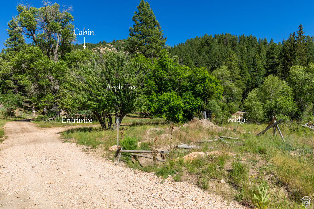 62 N FORK ROAD STEVEN CYN Duck Creek Village, UT 84762