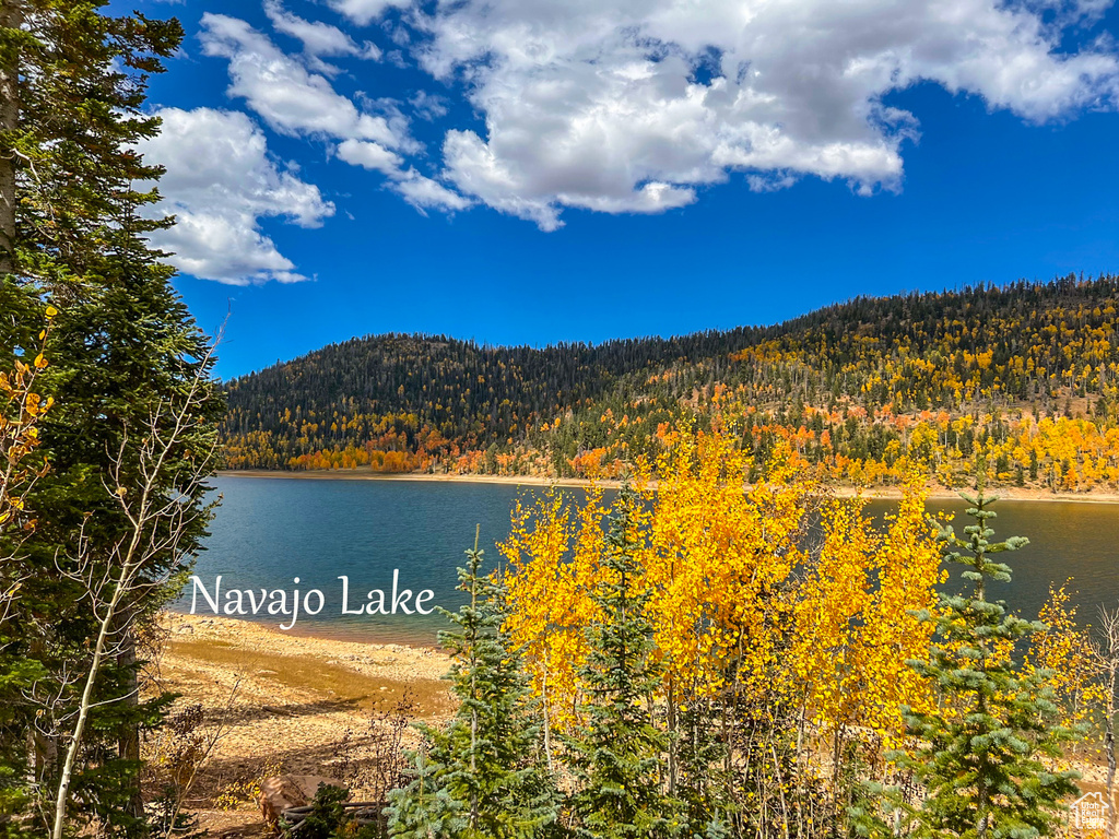 62 N FORK ROAD STEVEN CYN Duck Creek Village, UT 84762
