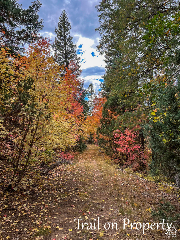 62 N FORK ROAD STEVEN CYN Duck Creek Village, UT 84762