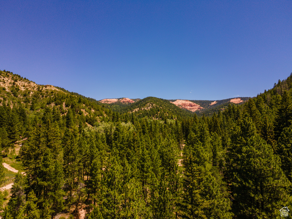 62 N FORK ROAD STEVEN CYN Duck Creek Village, UT 84762