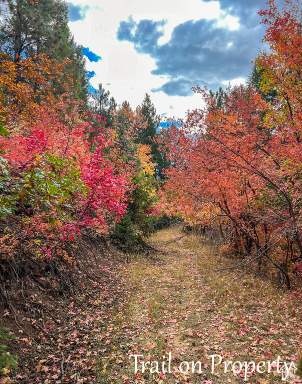 62 N FORK ROAD STEVEN CYN Duck Creek Village, UT 84762