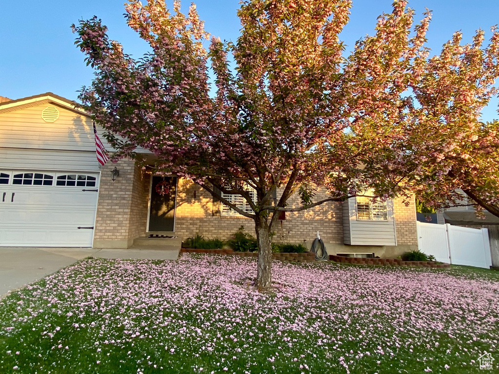 428 N 1180 E Pleasant Grove, UT 84062