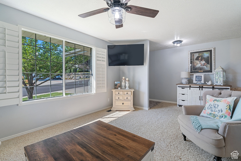 428 N 1180 E Pleasant Grove, UT 84062