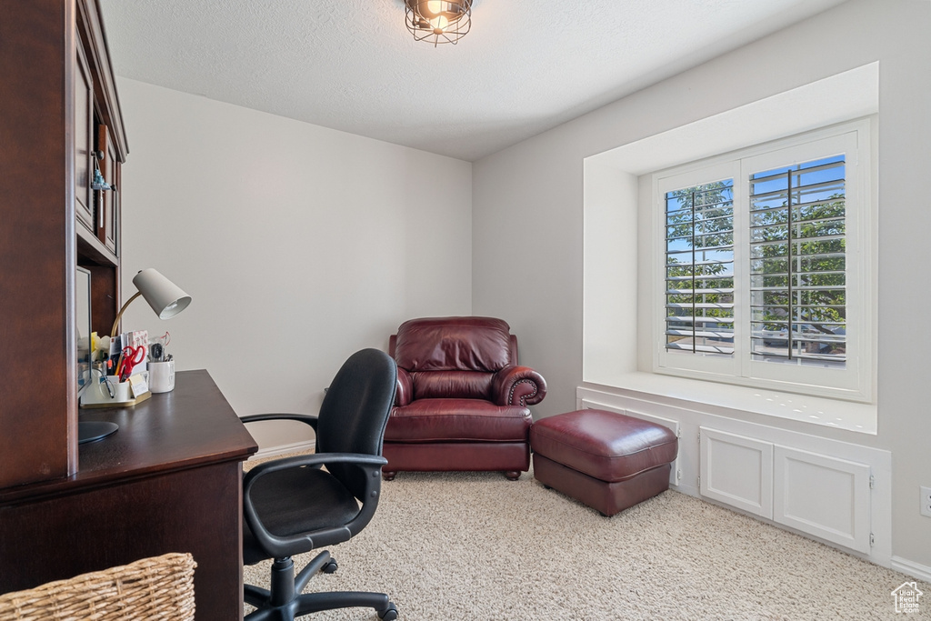 428 N 1180 E Pleasant Grove, UT 84062