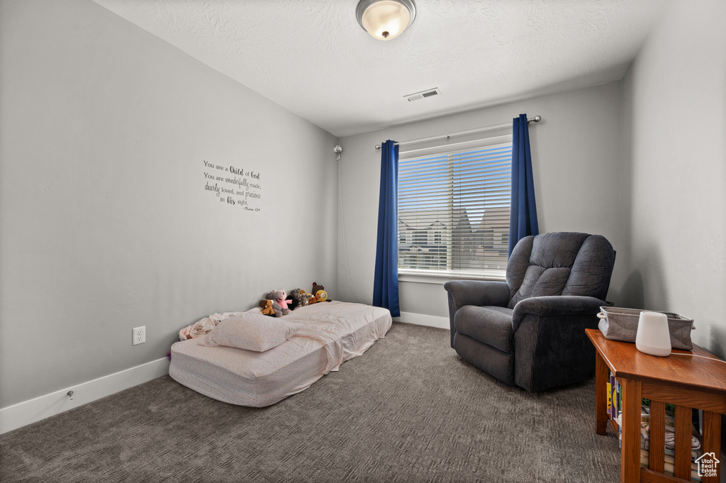 14923 S MCKENNA RD Bluffdale, UT 84065