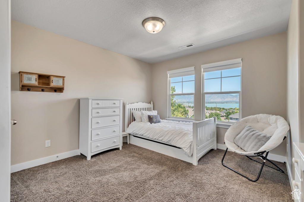 197 W PARKSIDE DR Saratoga Springs, UT 84045