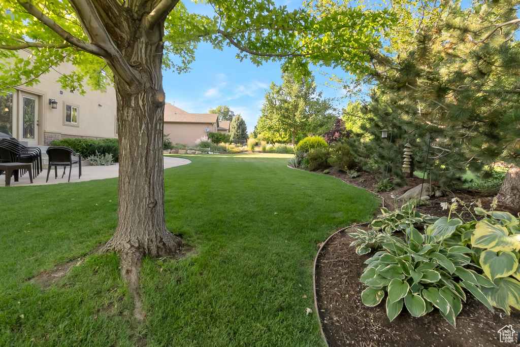 1294 N 1190 E American Fork, UT 84003