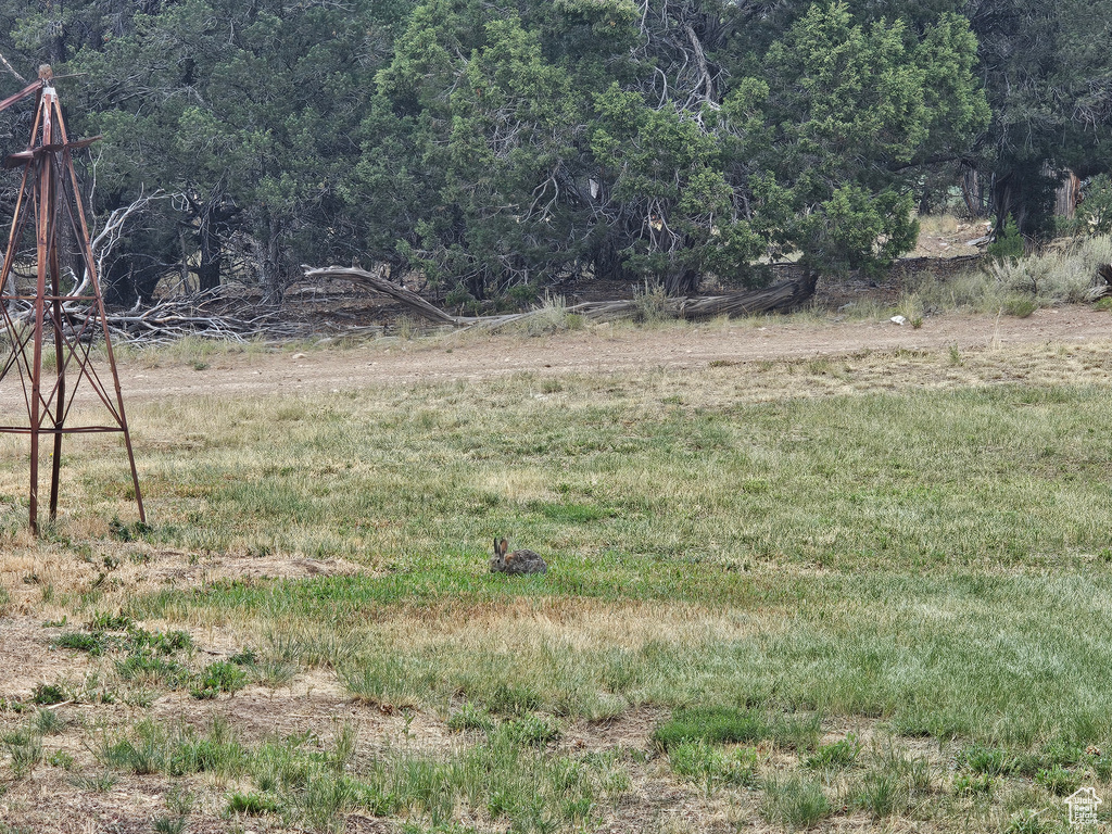 7124 S 38700 DIRT #10 Fruitland, UT 84027