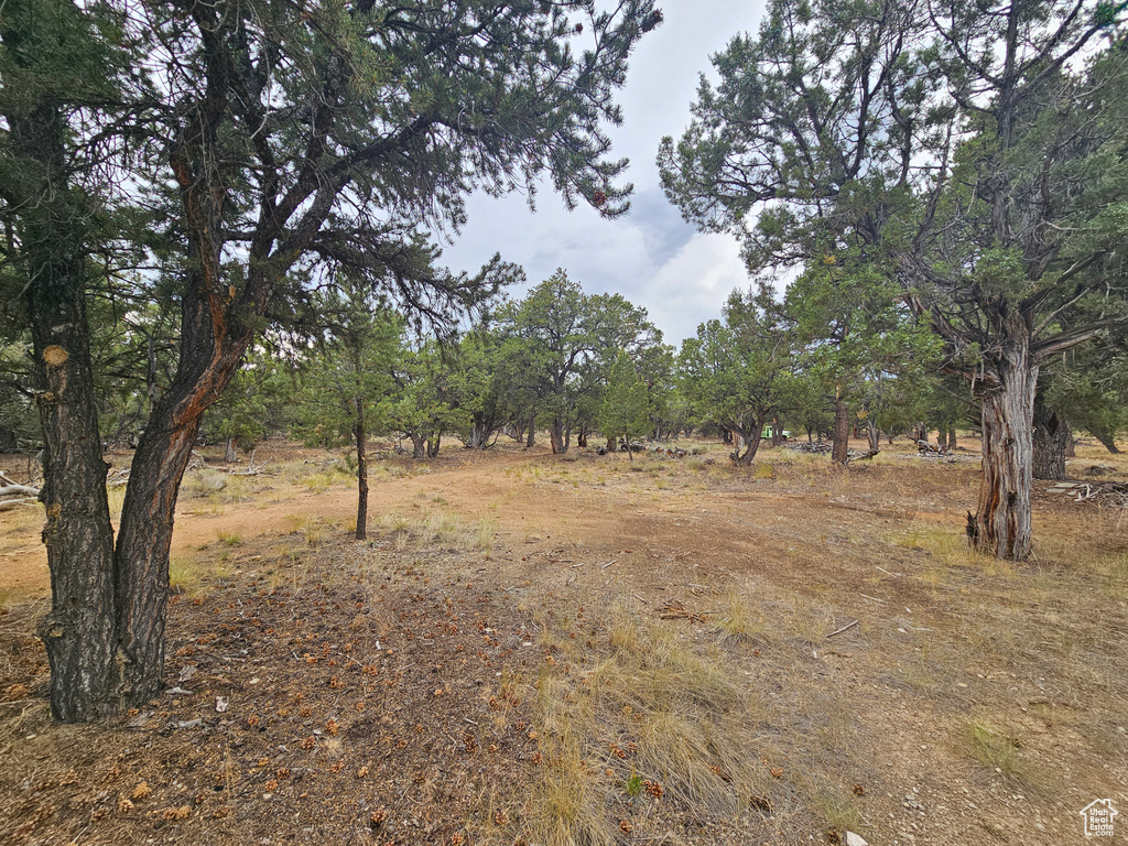 7124 S 38700 DIRT #10 Fruitland, UT 84027