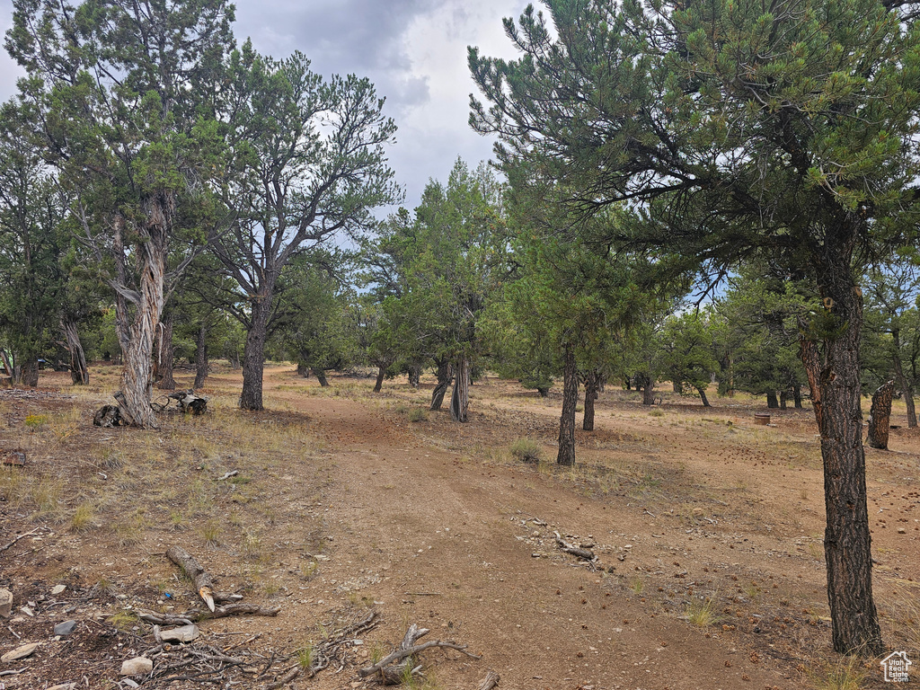 7124 S 38700 DIRT #10 Fruitland, UT 84027