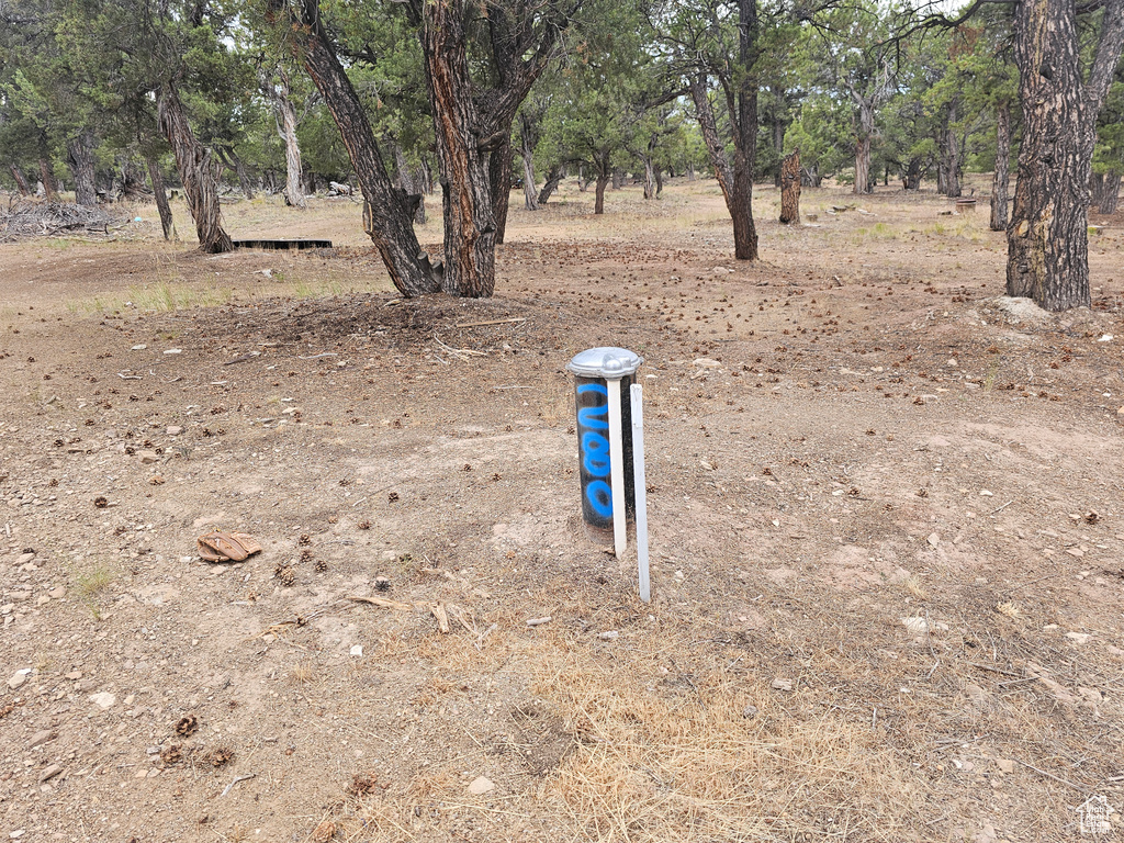7124 S 38700 DIRT #10 Fruitland, UT 84027