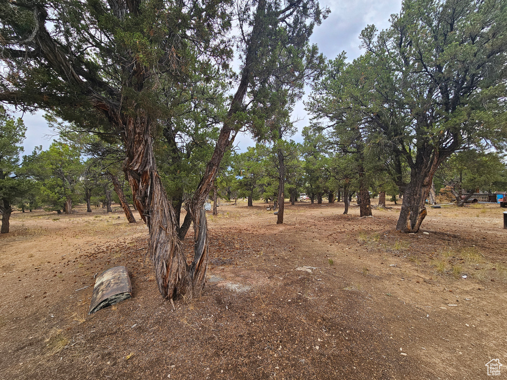 7124 S 38700 DIRT #10 Fruitland, UT 84027