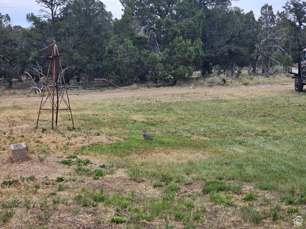 7124 S 38700 DIRT #10 Fruitland, UT 84027