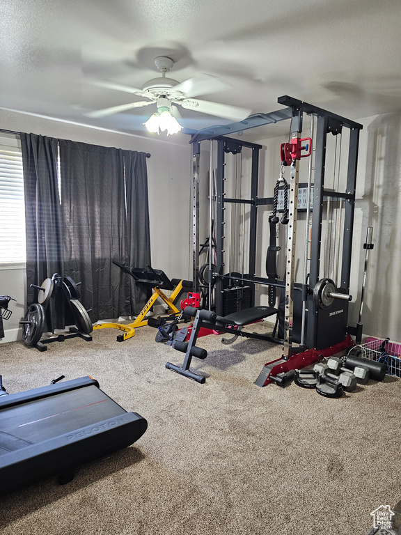 876 W 1200 S Vernal, UT 84078