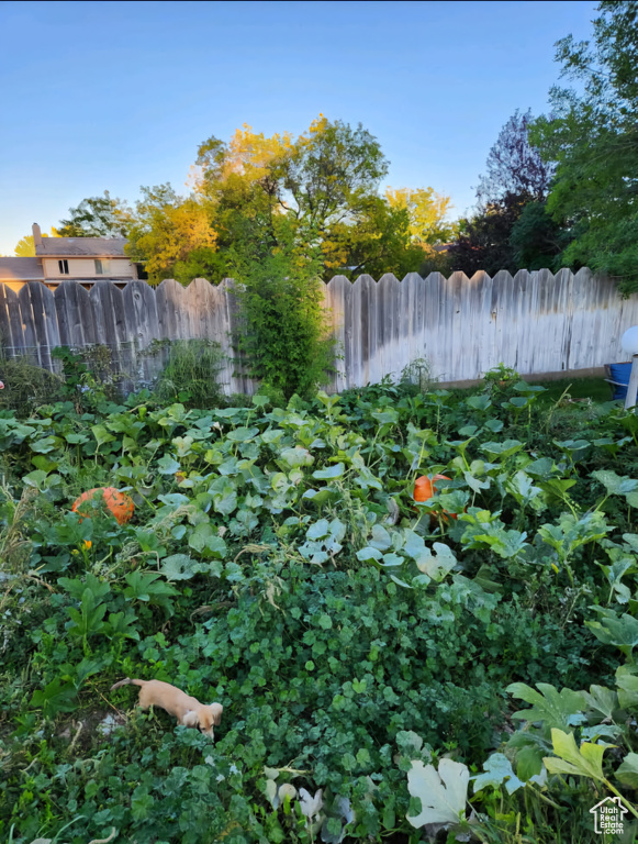 876 W 1200 S Vernal, UT 84078