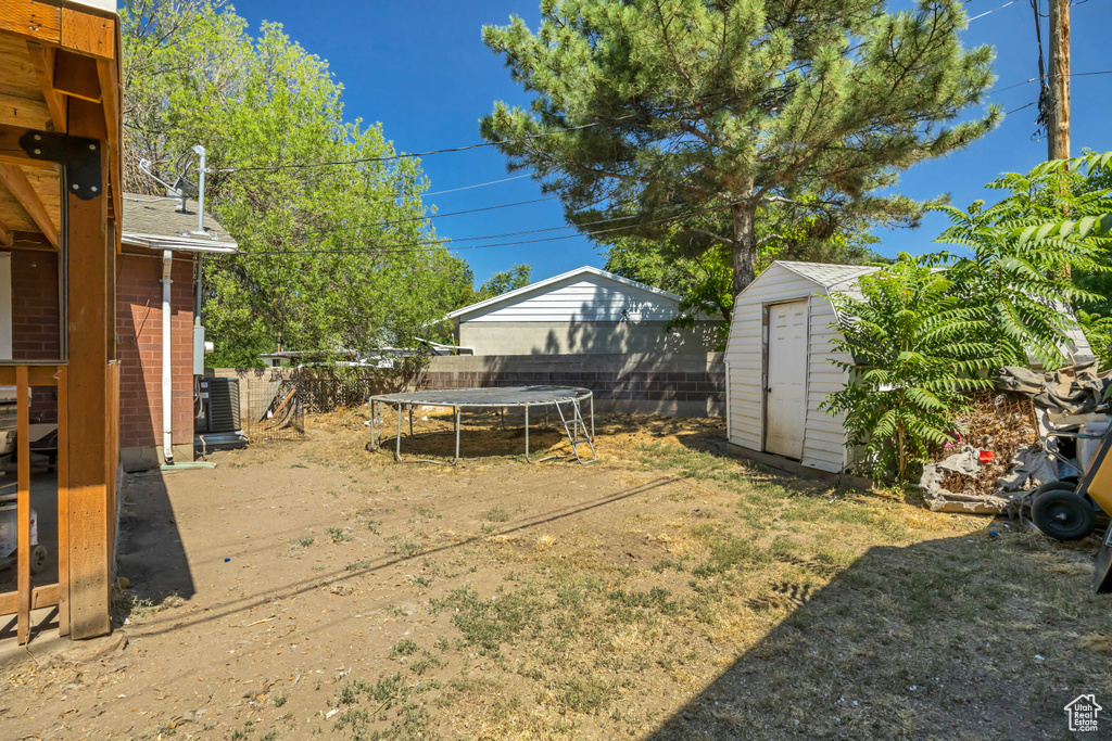 View of yard featuring a trampoline and a storage unit