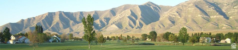 1007 W OSPREY DR Stansbury Park, UT 84074