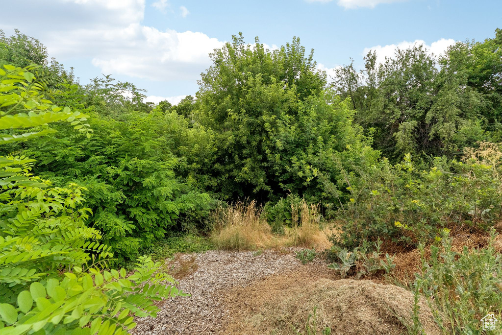 1043 S OXFORD CIR Fruit Heights, UT 84037