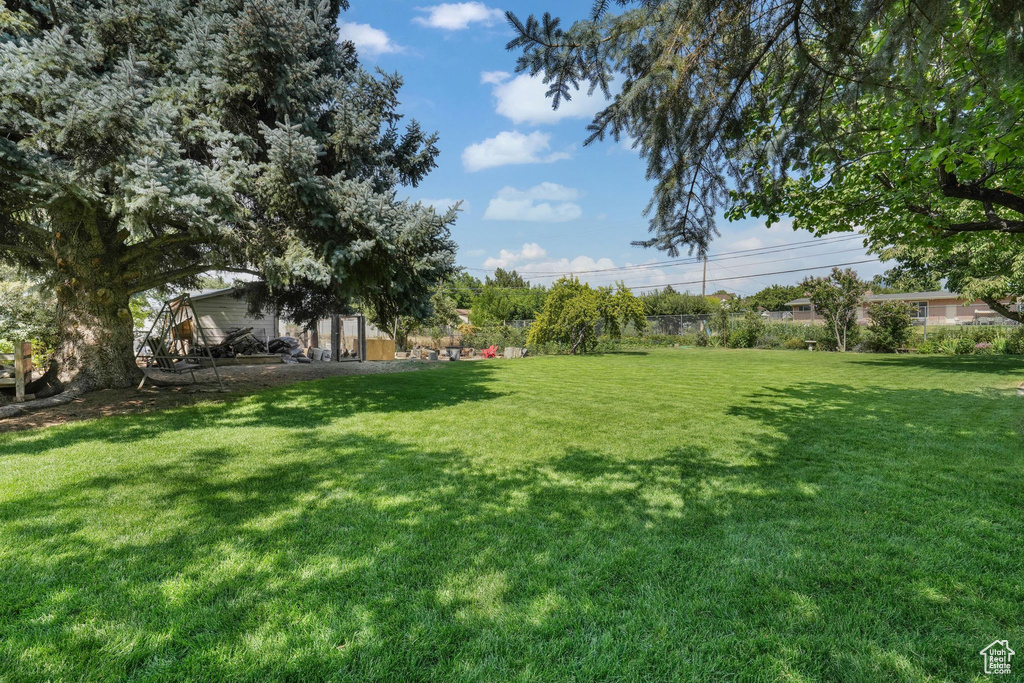 View of green lawn