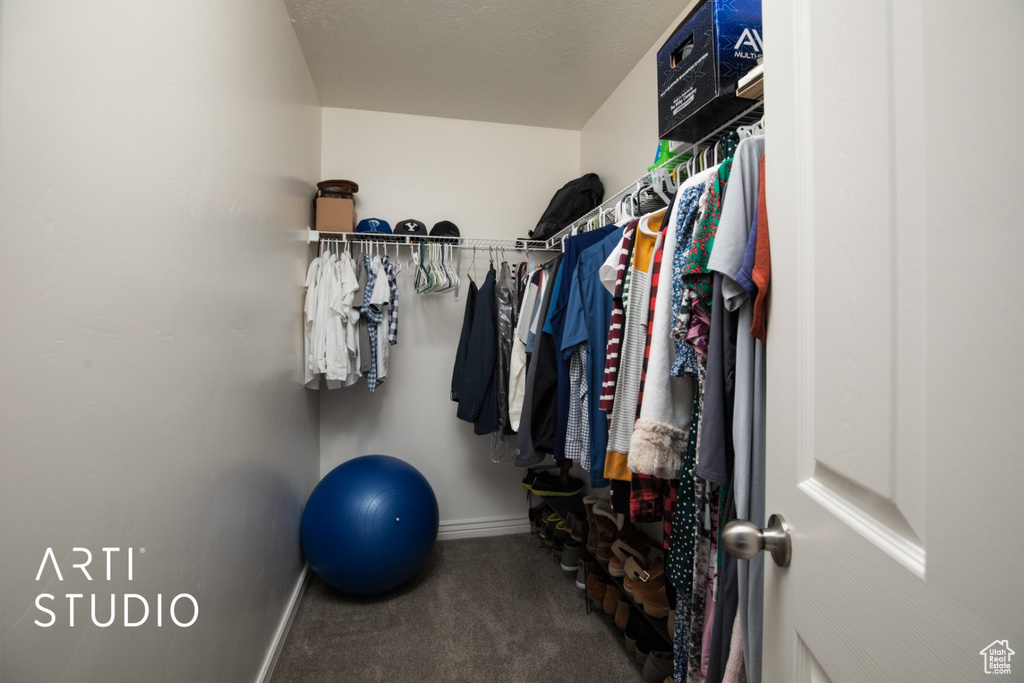 Walk in closet with carpet flooring