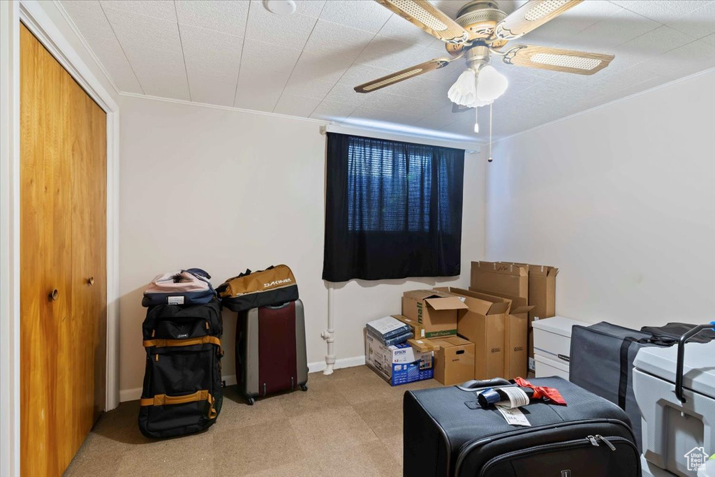 Bedroom featuring light colored carpet, crown molding, a ceiling fan, and a closet