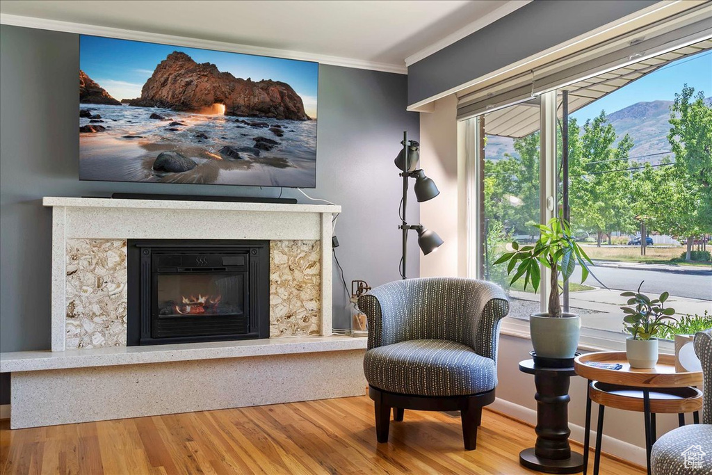 Living area featuring wood finished floors, a mountain view, plenty of natural light, ornamental molding, and a glass covered fireplace