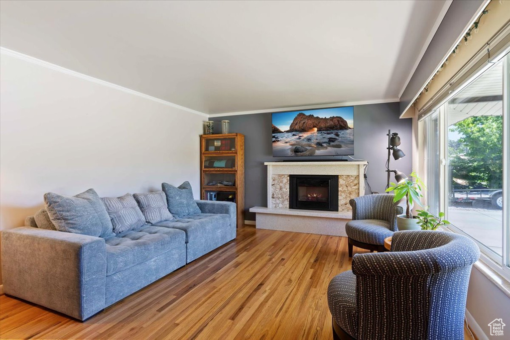 Living area with crown molding, a high end fireplace, and light wood-type flooring