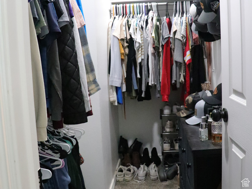 Spacious closet featuring carpet floors