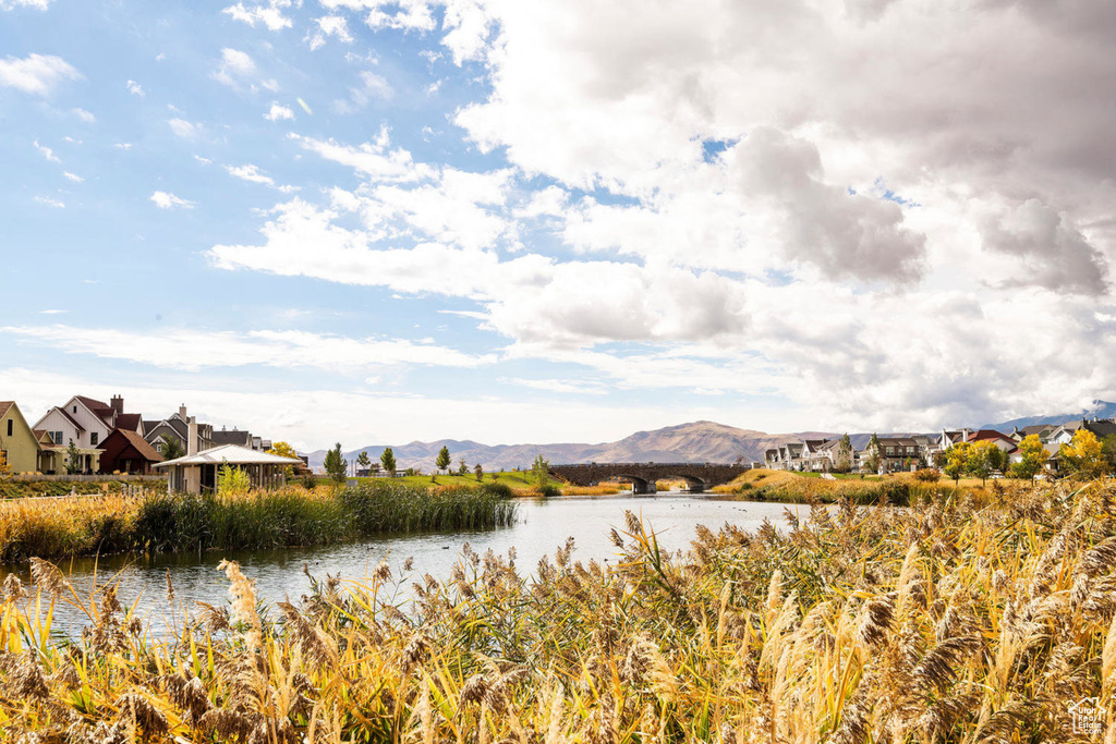 11763 S CURRANT DR South Jordan, UT 84009